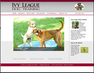 Ivy League Dog Training